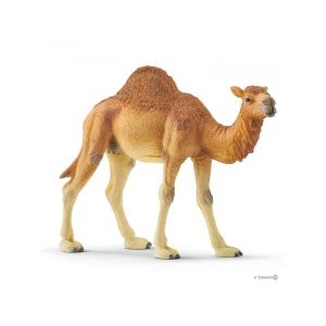 Schleich Figurine Dromadaire