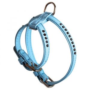 Doogy Glam - Harnais Glamorous Bleu Taille : T2