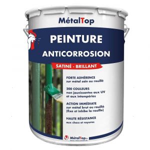 Peinture Anticorrosion - Télémagenta - RAL 4010 - Pot 15L