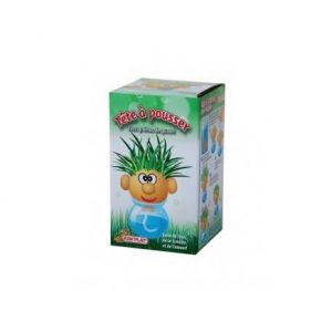 Kim'play Tete d herbe a pousser Monsieur Gazon Green Bonhomme cheveux a couper Plante Nature Jardinage Set Jouet enfant et carte