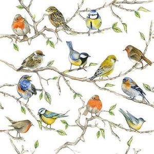Ambiente Serviette « Rassemblement d''oiseaux » - 20 pc.