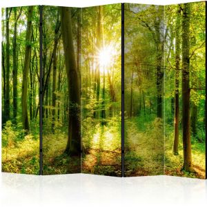 Artgeist Paravent 5 Volets "Forest Rays" 172x225cm