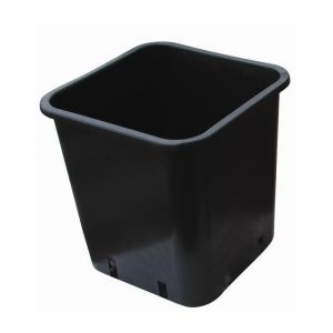 Cis Pot carre noir 13 X 13 X 22 2.5L x 50pcs