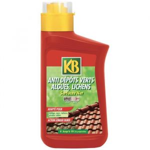 KB Anti dépôt vert, algue, lichen - Surface dure - 1 l