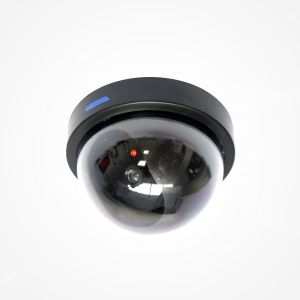 Image de Ematronic EM11D x 5 - Caméra factice dôme