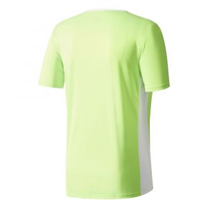 Adidas ENTRADA 18 JSY T-Shirt Homme, Solar Green/White, FR (Taille Fabricant : XL)