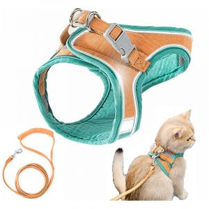 Harnais et laisse pour chat, veste de marche confortable pour chat avec laisse, laisse de style gilet pour chat, anti-fuite, laisse spéciale pour