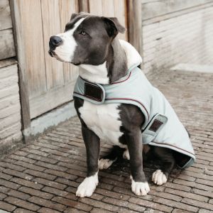 Manteau pour chien waterproof Kentucky 160g