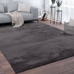 Paco Home - Tapis, Tapis &agrave; Poils Ras Doux Pour Salon, Moelleux, Lavable, Gris Fonc&eacute; 120 cm rond