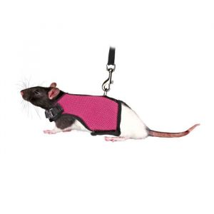 No Name 1,2 m Harnais doux avec laisse, pour rats - couleur aléatoire - animallparadise 3 Multicolor