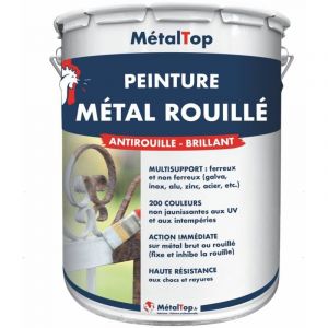 Peinture Metal Rouille - Bleu outremer - RAL 5002 - Pot 5L