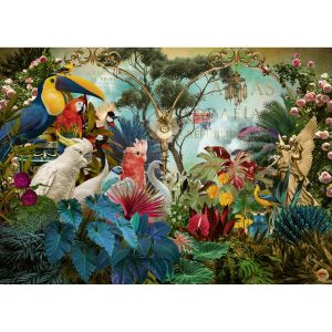 Heye Birddiversity