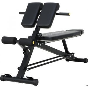 Banc de Musculation R&eacute;glable Chaise Romaine en Acier pour Entra&icirc;nement Abdominal et Dorsal Banc Musculation Noir