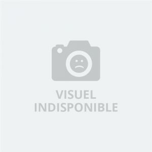 Graine Créative Kit de scoubidous porte cles