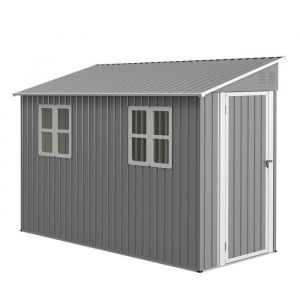 Ideko Abri de jardin en m&eacute;tal pour charges lourdes 4x10 pieds 1,2x3 m Avec kit de sol design appuy&eacute; au mur 2 fen&ecirc;tres