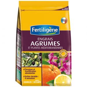 Image de Fertiligene Engrais agrumes bg boîte 800 g