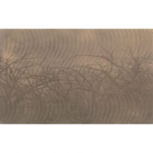 A.S. Creation A.s.creation - Papier peint panoramique ThornHedge1 DD117920 Atelier 47 - 270 x 400 cm (4 pi&egrave;ces)