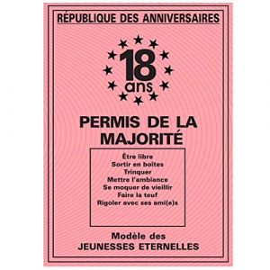 Les Trésors de Lily Carte spéciale 'Permis de la majorité' 18 ans - 20.5x14.5 cm [R2160]