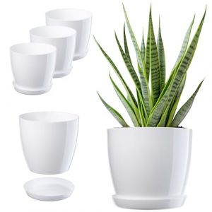 KADAX Pot de Fleurs, Set de Pots de Plantes avec Soucoupe, Pot de Fleurs en Plastique, Pot de Plantes Rond pour l'intérieur, Cache-Pot pour Fleurs et Plantes d'intérieur
