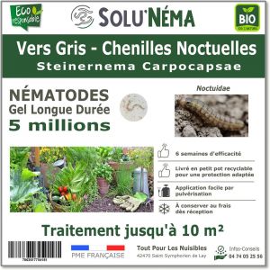 Solun&eacute;ma - Vers Gris - N&eacute;matodes Steinernema Carpocapsae (sc) - 5 millions