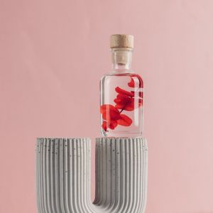 Th&eacute;ophile Berthon Plante immerg&eacute;e Eucalyptus rouge H10