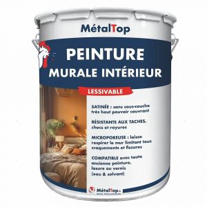Peinture Murale Interieur - Vert sapin - RAL 6009 - Pot 1L