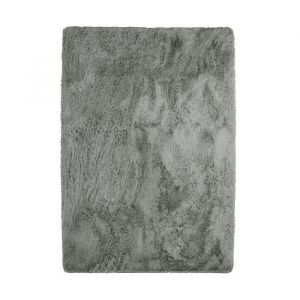 Image de NEO YOGA Tapis de salon ou chambre Microfibre extra doux 190 x 290 cm Gris clair