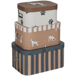 Lot de 3 bo&icirc;tes Scott