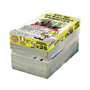 Kit de 25 Racines Endives