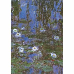 Dtoys Puzzle Monet Claude - Nymphéas 1000 pièces