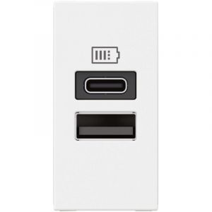 Legrand Chargeur usb Type-A+Type-C Mosaic 2 modules blanc pour support lcm 077670L