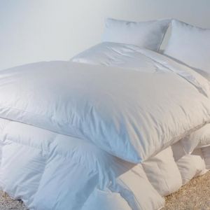 Castex Édredon naturel Eco - 30% duvet neuf - Blanc - 140 x 160 cm