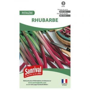 Image de Sanrival - Graines potag&egrave;res de rhubarbe