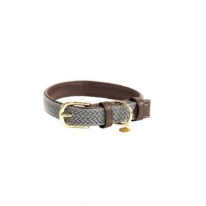 Collier pour chien en nylon tressé Kentucky