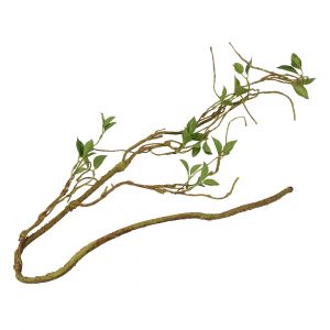 Accessoire de terrarium branche de plante mince décoratif Terra Della