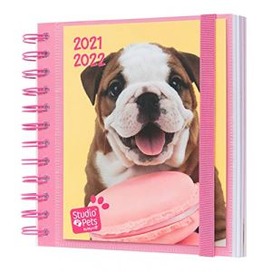 Grupo Erik Agenda Scolaire 2021 2022 Studio Pets Dogs | Agenda Journalier d'Août à Juin Agenda Spirale 14,5x16 cm | Idéal pour le Collège ou le Lycée