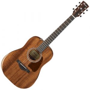 Ibanez AW54JR-OPN - OPEN PORE NATURAL