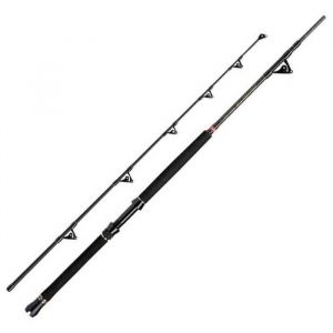 Penn Regiment III Roller Canne à pêche en mer de Type trolling pour Les pêches Lourdes à la traîne ou au Poser en eaux Profondes 2,00 m Noir/Rouge