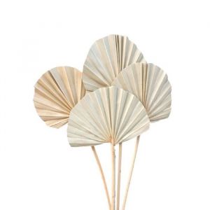 Image de 10 FEUILLES DE PALMIER ARRONDIES 50CM NATURE Beige, Ivoire, Crème, Écru, Naturel, Taupe