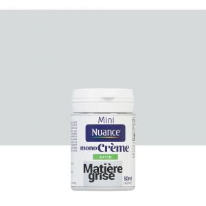 Nuance Peinture MonoCrème Matière grise Satin 50ml