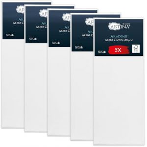 Artina Akademie &ndash; Lot de 5 Ch&acirc;ssis Bois Toile Peinture 30x80 cm &ndash; 2 Fois Peinte au Pr&eacute;alable &ndash; 100% de Coton &ndash; 280 g/m149