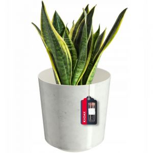 KADAX Pot de Fleurs Cache-Pot Marbre Blanc 19x20cm