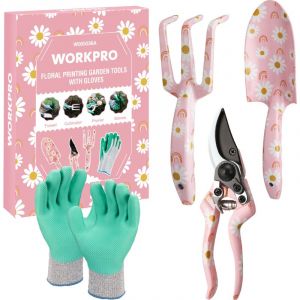 Ensemble d'Outils de Jardinage 4 Pi&egrave;ces, Outils en Acier Inoxydable avec Gants, S&eacute;cateur, Truelle de Jardin, R&acirc;teau &agrave; Main, Id&eacute;al pour Taille et