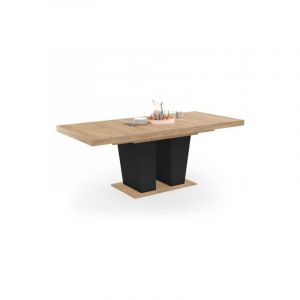 Idmarket Table à manger extensible eliad 6-10 personnes bois et noir 160-200 cm - Multicolore