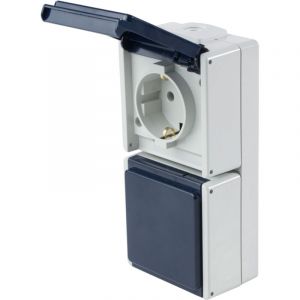 AS - Schwabe As-Schwabe 62462 Prise Murale 2 Prises Verticales avec 2 entr&eacute;es de Ligne IP 54 Gris