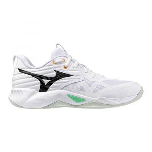 Mizuno Chaussures indoor Wave Momentum Pro