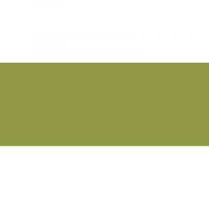 Tombow Feutre pinceau Dual Brush, Feutre, Olive claire