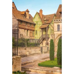 Ceanothe Tableau sur toile cour d'Albane 45x65 cm