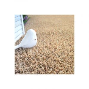 Décoweb Gazon synthétique Arty - Couleur Beige - 20mm - Rouleau de 4m x 8m