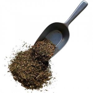 Tisane Pariétaire plante 100 GRS Parietaria officinalis.